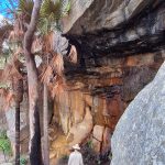 Be sure to look around as you go down