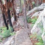Blackdown Tablelands National Park