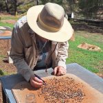 picking out the gemstones