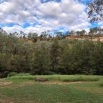 swimming hole and platypus viewing location