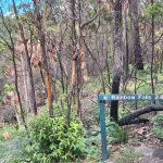 Blackdown Tablelands National Park